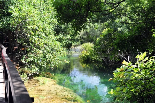Piękny Obszar Leśny Parku Narodowym Krka Chorwacja Rzeką Otoczoną Bujnymi — Zdjęcie stockowe