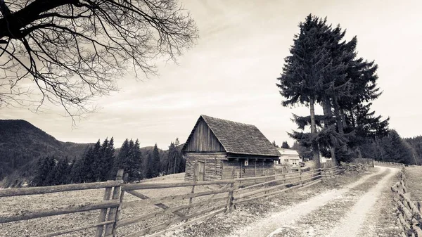 Grayscale Shot Rural Houses Dirt Road — Stock Photo, Image