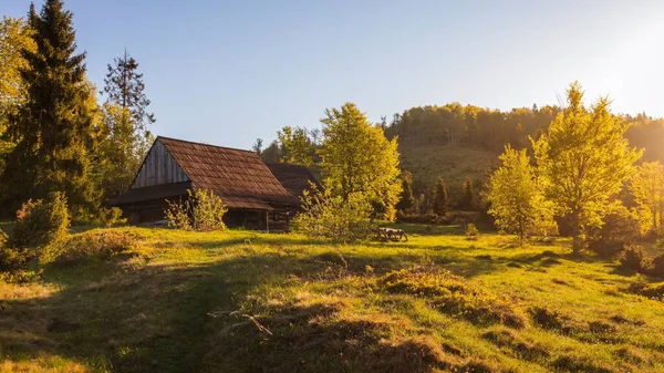 Wooden Rural House Green Forest — Stock Photo, Image