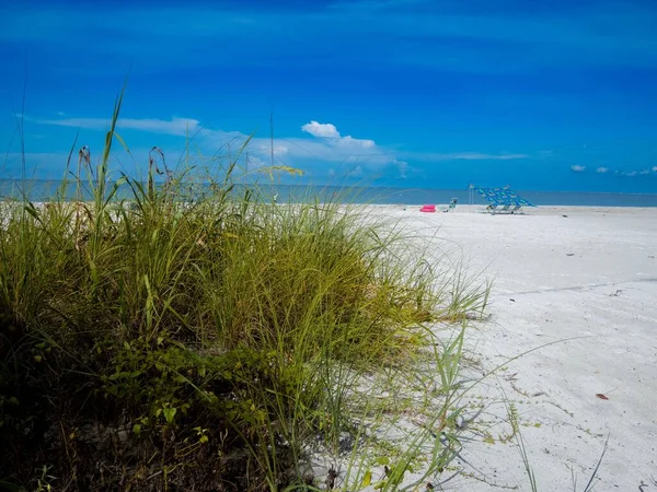 Wysoka Zielona Trawa Piaszczystej Plaży Morzem Tle Estero Island Floryda — Zdjęcie stockowe