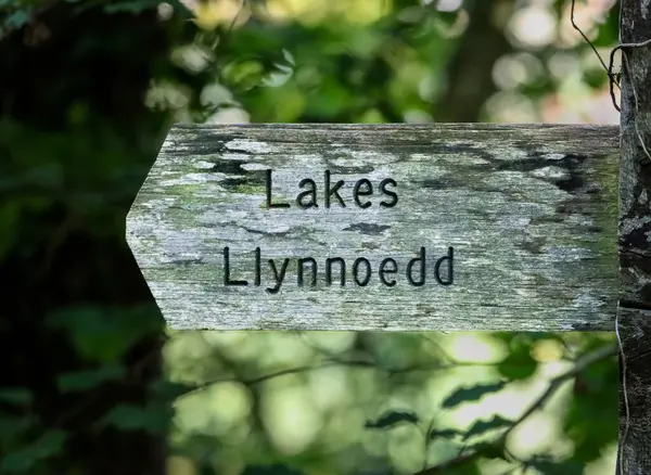 Closeup Lake Sign Dare Valley Country Park South Wales — Stock Photo, Image
