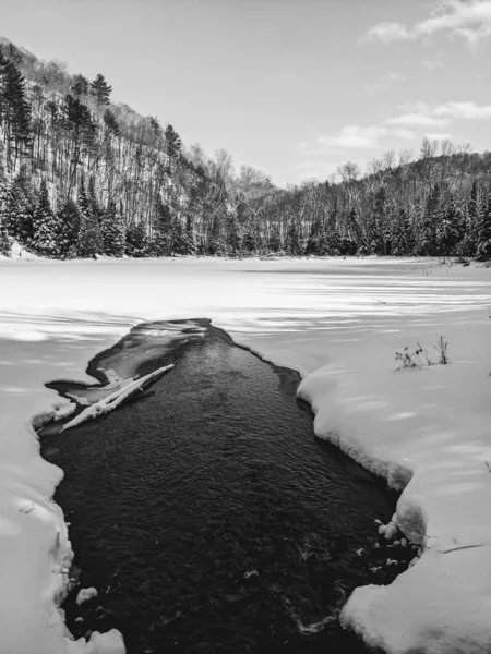 Eine Monochrome Aufnahme Eines Gefrorenen Sees Gegen Den Verschneiten Wald — Stockfoto