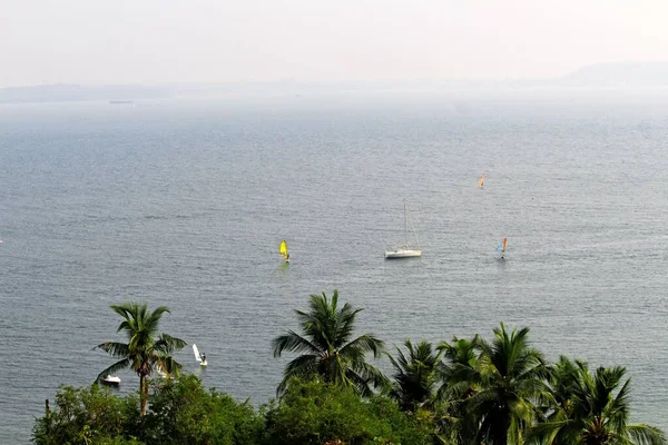 Suyun Üzerinde Yüzen Teknelerin Planda Palmiye Ağaçlarının Güzel Manzarası — Stok fotoğraf