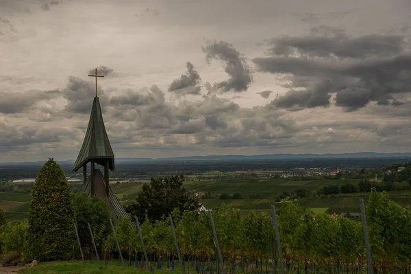 Beautiful Shot Vineyards Next Church — Stock Photo, Image
