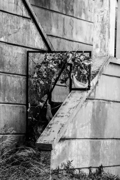 Ένα Γκρι Πλάνο Ενός Σπασμένου Πλαισίου Πόρτας Στη Βεράντα — Φωτογραφία Αρχείου