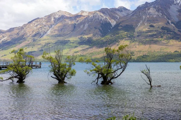 Árvores Lago Com Montanhas Fundo Glenorchy Otago Nova Zelândia — Fotografia de Stock