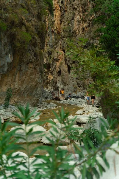 Disparo Vertical Garganta Samaria Cerca Lakki Creta Pequeño Río Que —  Fotos de Stock