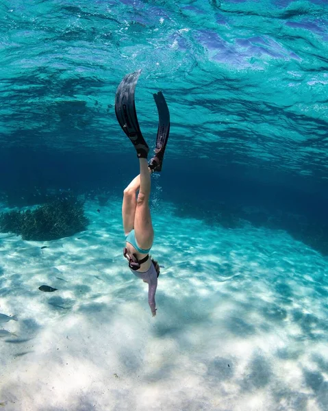 一只雌性在水下潜水的垂直镜头 — 图库照片