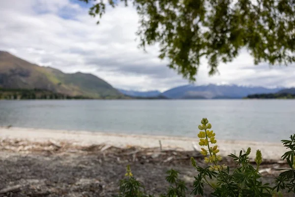 Dağlık Bir Gölün Güzel Manzarası — Stok fotoğraf
