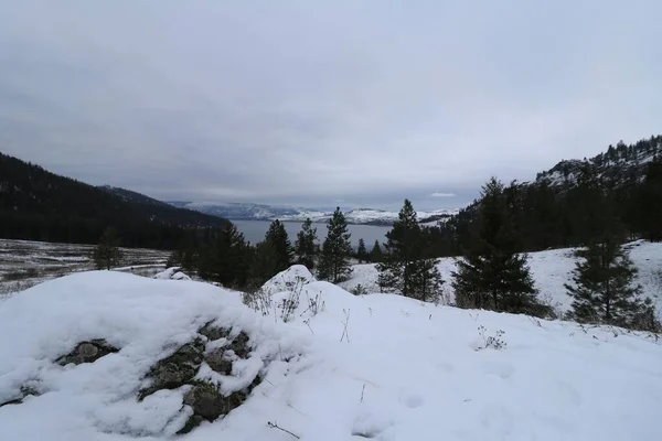 Zimní Krajina Provinčním Parku Kalamalka Zasněženým Terénem Prázdné Nebe — Stock fotografie