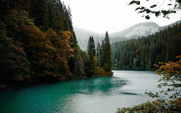 Eine Flache Aufnahme Eines Schönen Sees Der Nähe Des Waldes — Stockfoto