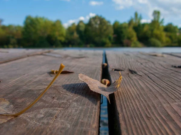 木製のデッキに落ちた葉のクローズアップショット — ストック写真