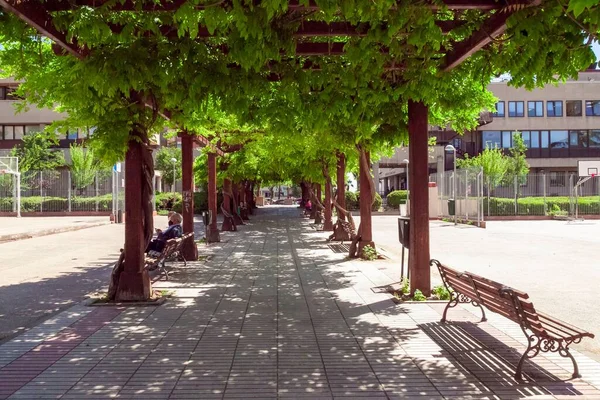 公園内にはベンチがあり 緑の葉に囲まれ 建物やバスケットボールコートがあります — ストック写真