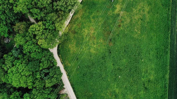 Een Luchtfoto Van Groen Grasveld Overdag — Stockfoto