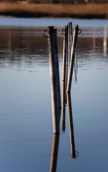 호수에 나무로 부두의 — 스톡 사진