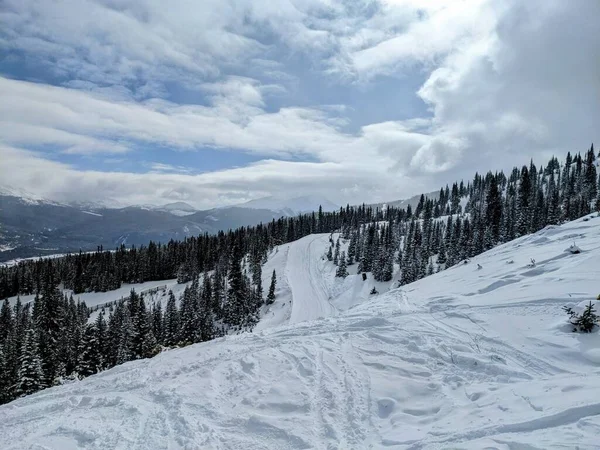 Rastros Esqui Neve Contra Fundo Das Florestas Montanhas — Fotografia de Stock