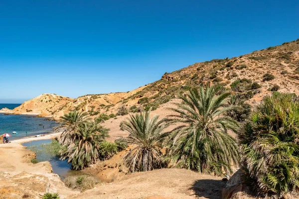 Montagne Sabbiose Aride Con Vegetazione Tropicale Sulla Costa Korbous Tunisia — Foto Stock