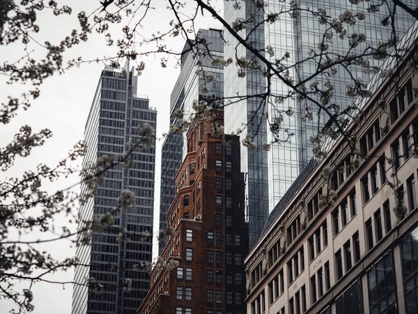 Hochhäuser New York — Stockfoto