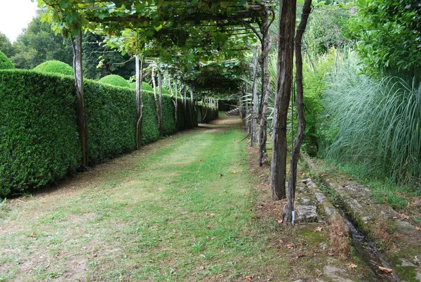 西班牙的一个绿树成荫的历史花园的美丽景色 — 图库照片