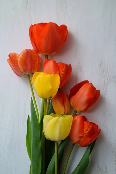 Una Vista Vertical Hermosos Tulipanes — Foto de Stock