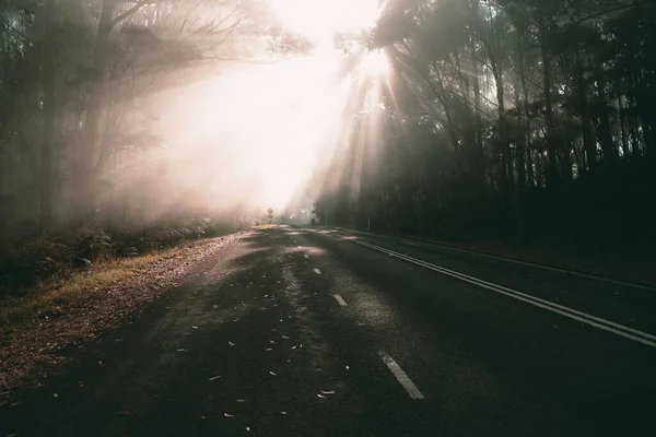 Сонце Світить Красивій Сільській Дорозі Через Парк — стокове фото