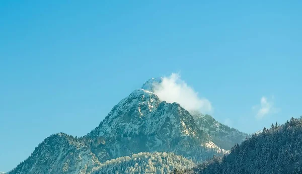 冬の日に青いスカイラインの前に木で覆われた斜面で景色の山の景色 — ストック写真
