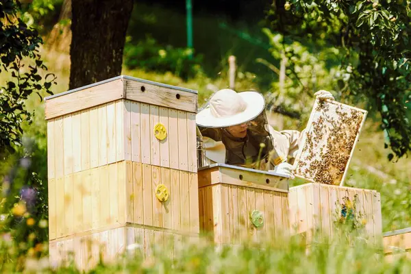 Uma Apicultora Trabalhando Sua Fazenda Dia Ensolarado Campo — Fotografia de Stock