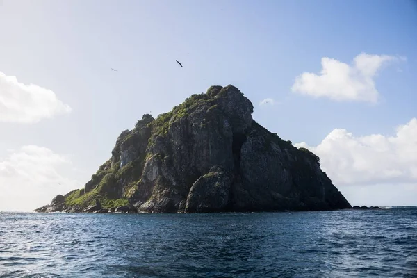Πουλιά Που Πετούν Πάνω Από Θάλασσα Βραχώδες Νησί Στο Βάθος — Φωτογραφία Αρχείου