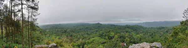 Eine Landschaft Über Grünen Waldhügeln — Stockfoto