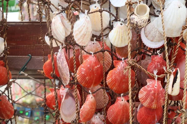 Eine Nahaufnahme Von Roten Und Weißen Dekorativen Muscheln Auf Einem — Stockfoto