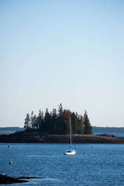 Bar Harbor, Maine, ABD 'de sakin bir sahilde seyreden bir teknenin dikey çekimi.
