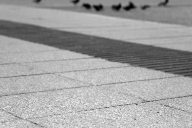 Halle an der Saale, Saksonya-Anhalt, Almanya 'da bir asfalt yolu