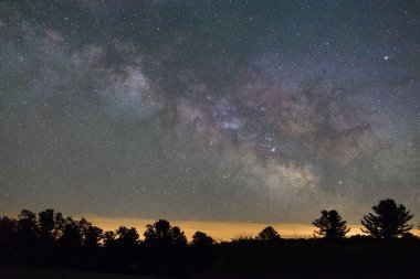 Ağaçlar manzaralı yıldızlı geceye karşı