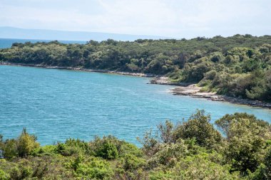 Güneşli bir günde Kamenjak 'taki güzel yeşil orman kıyısı