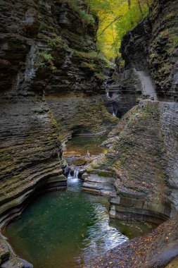 Watkin 's Glen Şelalesi' nin sonbaharda yükselen dikey görüntüsü.