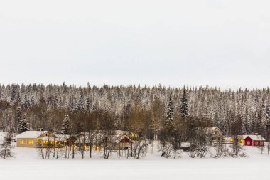 Finlandiya 'da ağaçlara karşı karlı binaları olan güzel bir Levi kayak merkezi.