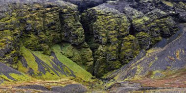 Snaefellsnes, İzlanda 'daki yeşil kayalıkların manzarası.