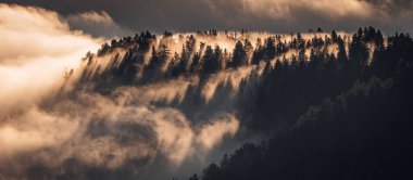 İtalyan Alpleri ile kaplı dağlardaki yeşil ağaçların panoramik görüntüsü