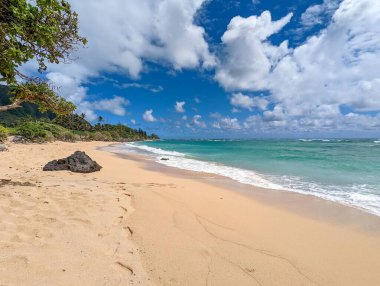 Hawaii, Oahu adasının manzaralı kumlu bir plajı Mavi gökyüzünün altında beyaz kabarık bulutlarla