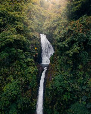 Yeşil ağaçlarla çevrili manzaralı bir şelalenin dikey görüntüsü.
