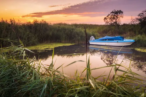 Ein Von Schilf Umgebenes Boot Gegen Den Malerischen Sonnenuntergang — Stockfoto