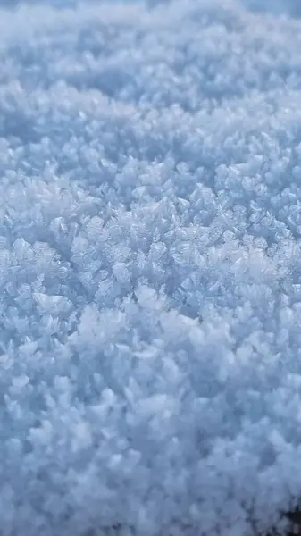 Vertikální Záběr Ledového Sněhu Pokrývá Pole Rostlin Zimě — Stock fotografie
