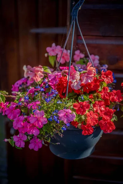 stock image A beautiful view of a hanging basket of different flowers