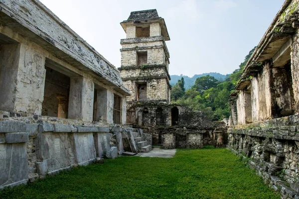 Malowniczy Widok Ruiny Palenque Piramidy Pod Błękitnym Niebem Meksyku — Zdjęcie stockowe