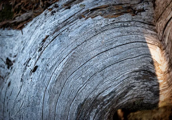 背景用の渦巻き木の質感の美しい景色 — ストック写真