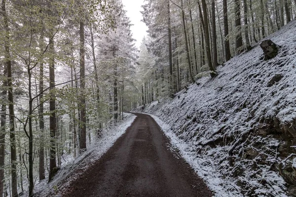 Lesní Stezka Strmém Svahu Zimě Černém Lese Německu — Stock fotografie