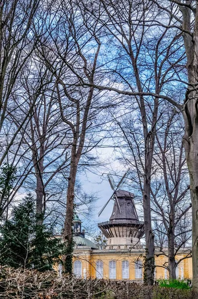 ベルリンのポストダム庭園にある古い風車と背の高い木の裸の木の垂直ショット — ストック写真