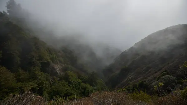 緑の山の上に霧が立ち — ストック写真