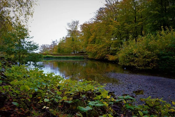 Прекрасный Вид Реку Окруженную Зелеными Деревьями Осенью Парке — стоковое фото