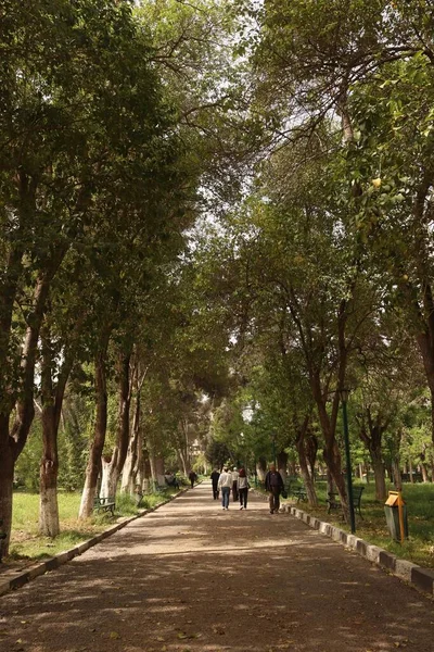 Uma Foto Vertical Pessoas Andando Parque Verde Aleppo — Fotografia de Stock
